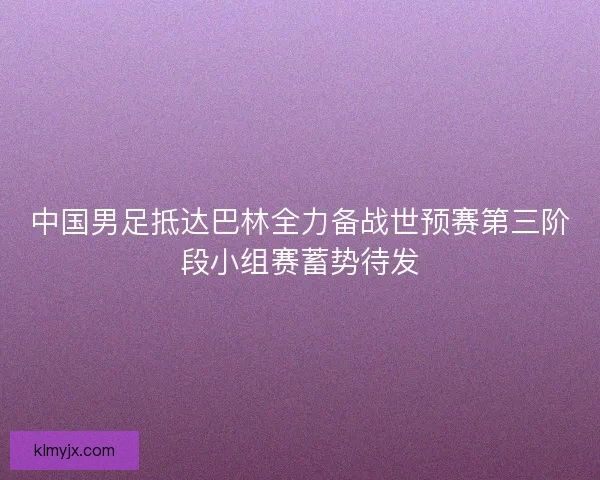 中国男足抵达巴林全力备战世预赛第三阶段小组赛蓄势待发